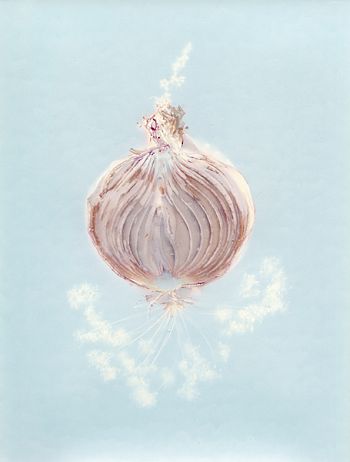 Луковицы времени 2